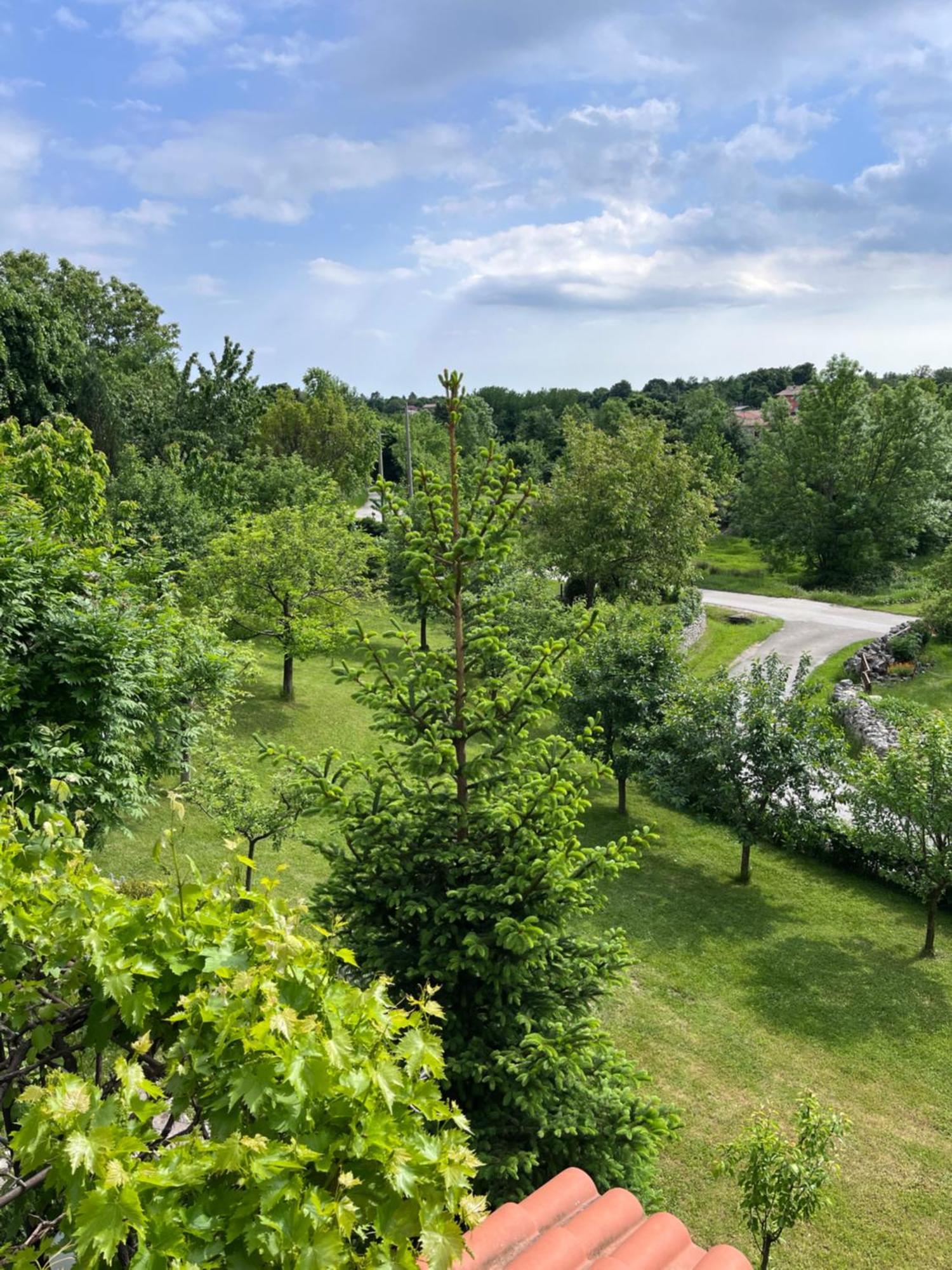 Apartment Vista Lupoglav  Экстерьер фото
